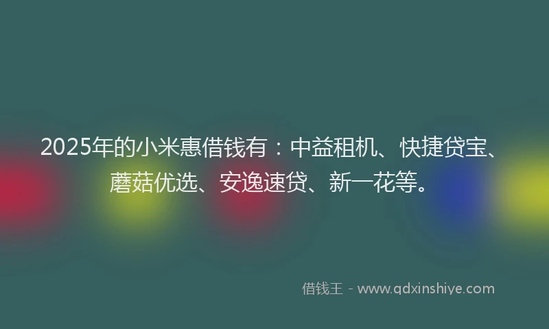 2025年的小米惠借钱有：中益租机、快捷贷宝、蘑菇优选、安逸速贷、新一花等。