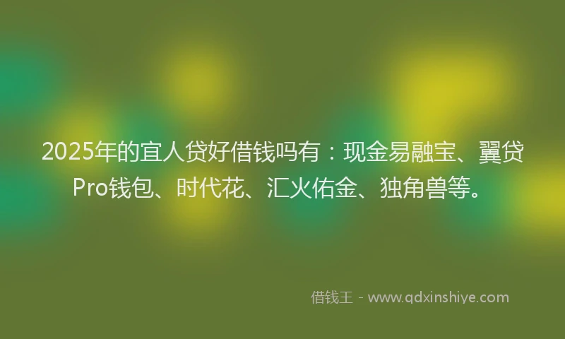 2025年的宜人贷好借钱吗有：现金易融宝、翼贷Pro钱包、时代花、汇火佑金、独角兽等。