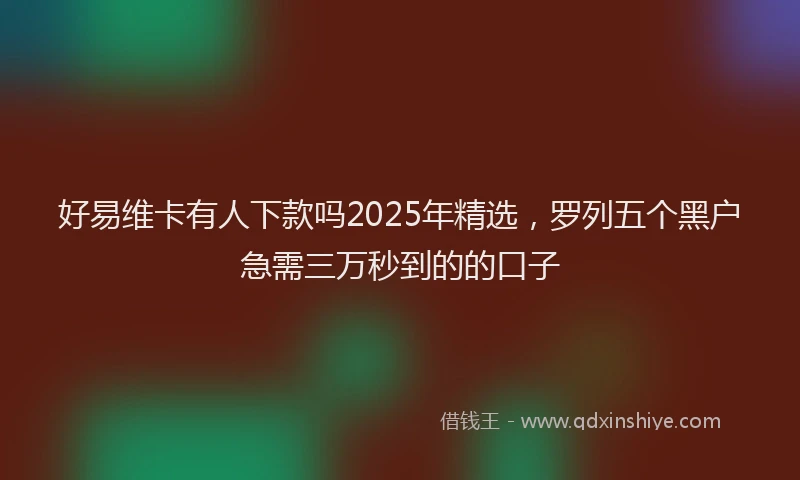 好易维卡有人下款吗2025年精选，罗列五个黑户急需三万秒到的的口子