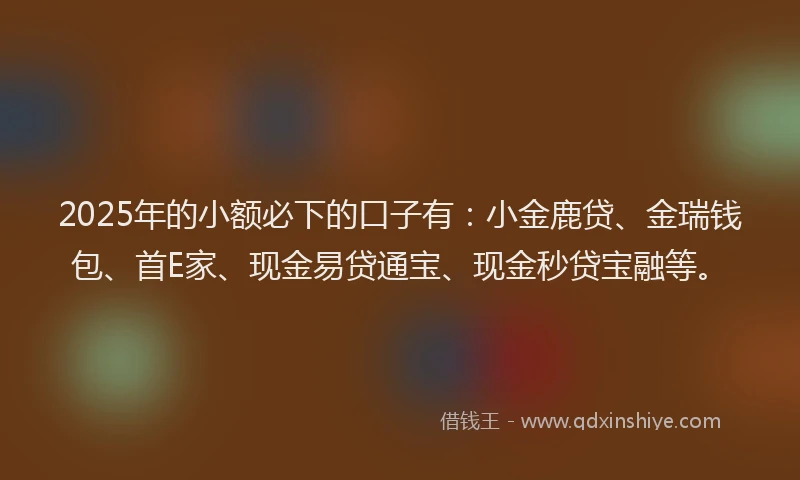 2025年的小额必下的口子有：小金鹿贷、金瑞钱包、首E家、现金易贷通宝、现金秒贷宝融等。