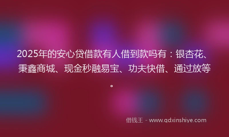 2025年的安心贷借款有人借到款吗有：银杏花、秉鑫商城、现金秒融易宝、功夫快借、通过放等。