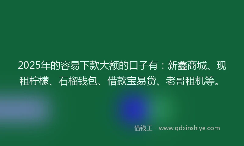 2025年的容易下款大额的口子有：新鑫商城、现租柠檬、石榴钱包、借款宝易贷、老哥租机等。