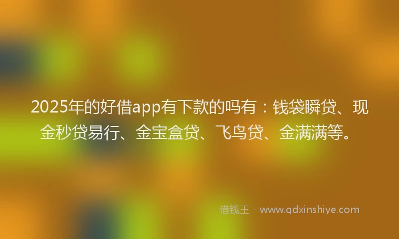 2025年的好借app有下款的吗有：钱袋瞬贷、现金秒贷易行、金宝盒贷、飞鸟贷、金满满等。