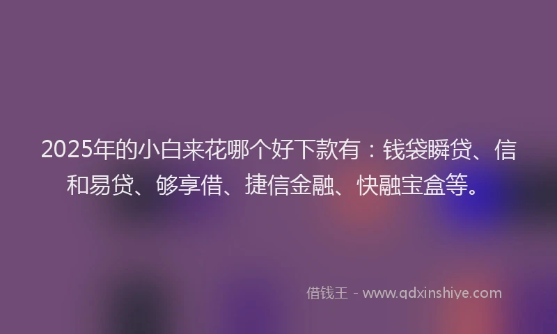 2025年的小白来花哪个好下款有：钱袋瞬贷、信和易贷、够享借、捷信金融、快融宝盒等。