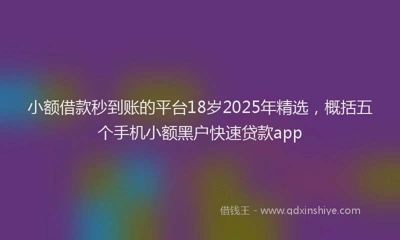小额借款秒到账的平台18岁2025年精选，概括五个手机小额黑户快速贷款app