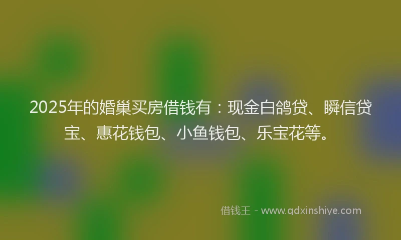 2025年的婚巢买房借钱有：现金白鸽贷、瞬信贷宝、惠花钱包、小鱼钱包、乐宝花等。