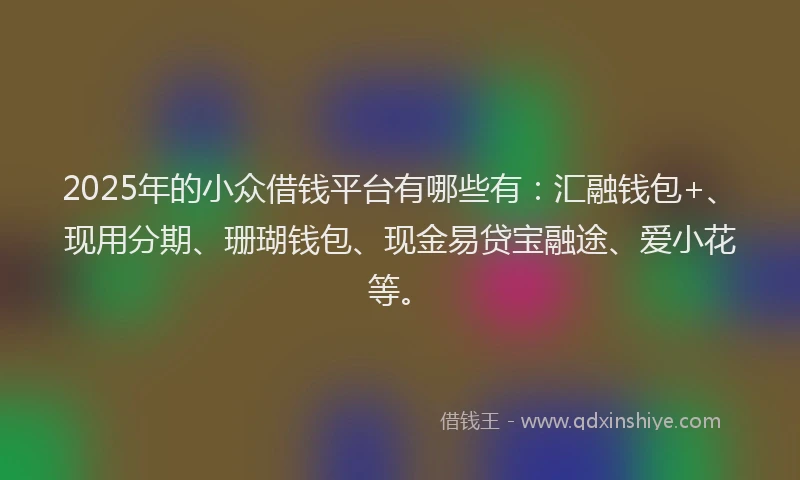 2025年的小众借钱平台有哪些有：汇融钱包+、现用分期、珊瑚钱包、现金易贷宝融途、爱小花等。