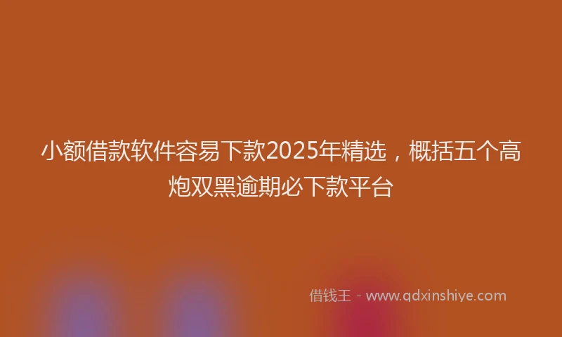 小额借款软件容易下款2025年精选，概括五个高炮双黑逾期必下款平台