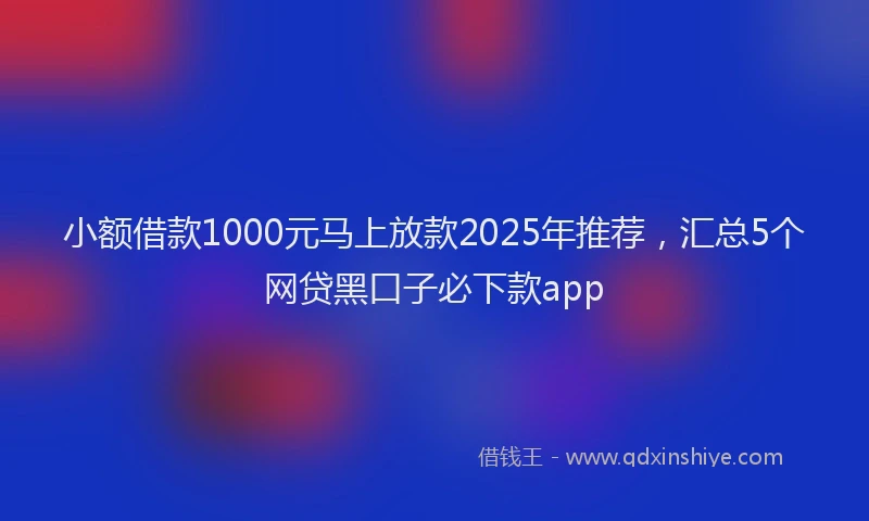 小额借款1000元马上放款2025年推荐，汇总5个网贷黑口子必下款app