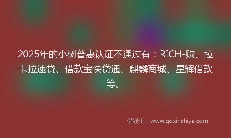 2025年的小树普惠认证不通过有：RICH-购、拉卡拉速贷、借款宝快贷通、麒麟商城、星辉借款等。
