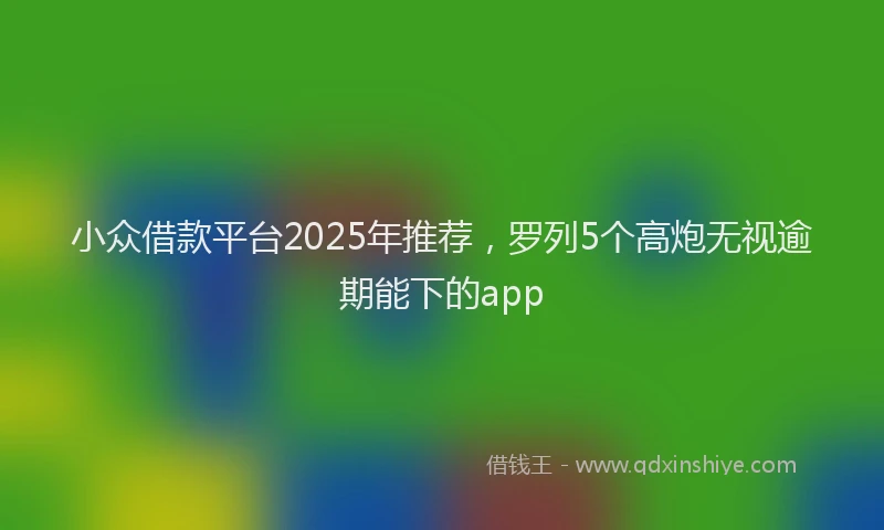 小众借款平台2025年推荐，罗列5个高炮无视逾期能下的app