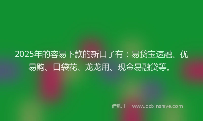 2025年的容易下款的新口子有：易贷宝速融、优易购、口袋花、龙龙用、现金易融贷等。