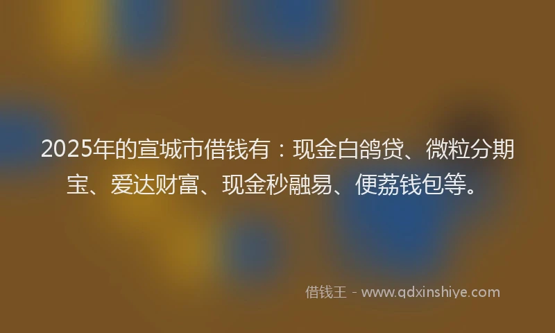 2025年的宣城市借钱有：现金白鸽贷、微粒分期宝、爱达财富、现金秒融易、便荔钱包等。