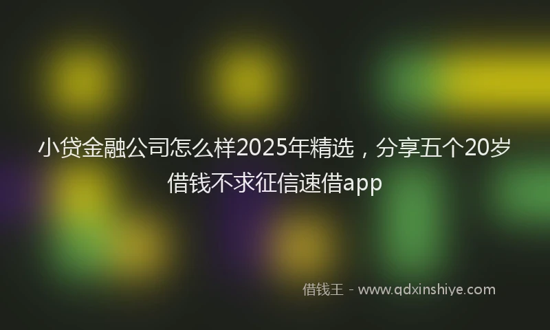 小贷金融公司怎么样2025年精选，分享五个20岁借钱不求征信速借app