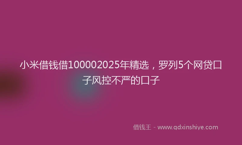 小米借钱借100002025年精选，罗列5个网贷口子风控不严的口子