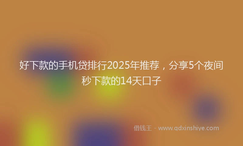好下款的手机贷排行2025年推荐，分享5个夜间秒下款的14天口子