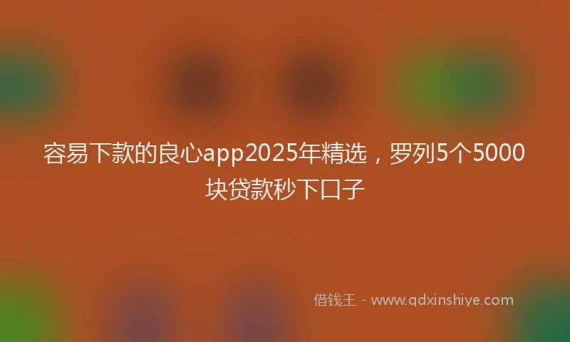 容易下款的良心app2025年精选，罗列5个5000块贷款秒下口子