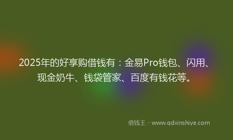 2025年的好享购借钱有：金易Pro钱包、闪用、现金奶牛、钱袋管家、百度有钱花等。