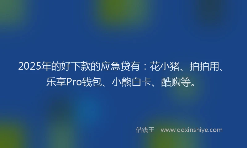 2025年的好下款的应急贷有：花小猪、拍拍用、乐享Pro钱包、小熊白卡、酷购等。