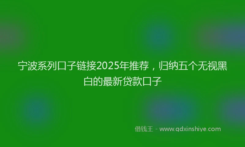 宁波系列口子链接2025年推荐，归纳五个无视黑白的最新贷款口子