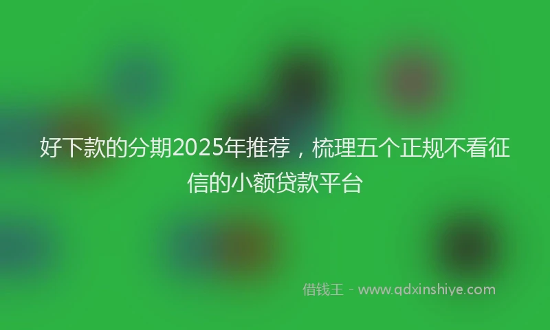好下款的分期2025年推荐，梳理五个正规不看征信的小额贷款平台