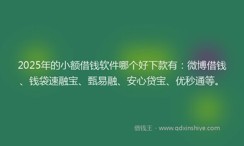 2025年的小额借钱软件哪个好下款有：微博借钱、钱袋速融宝、甄易融、安心贷宝、优秒通等。