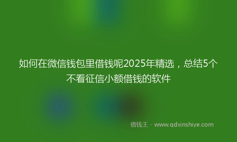 如何在微信钱包里借钱呢2025年精选，总结5个不看征信小额借钱的软件