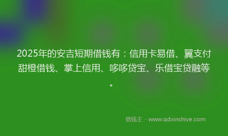 2025年的安吉短期借钱有：信用卡易借、翼支付甜橙借钱、掌上信用、哆哆贷宝、乐借宝贷融等。