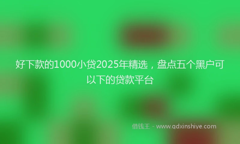 好下款的1000小贷2025年精选，盘点五个黑户可以下的贷款平台
