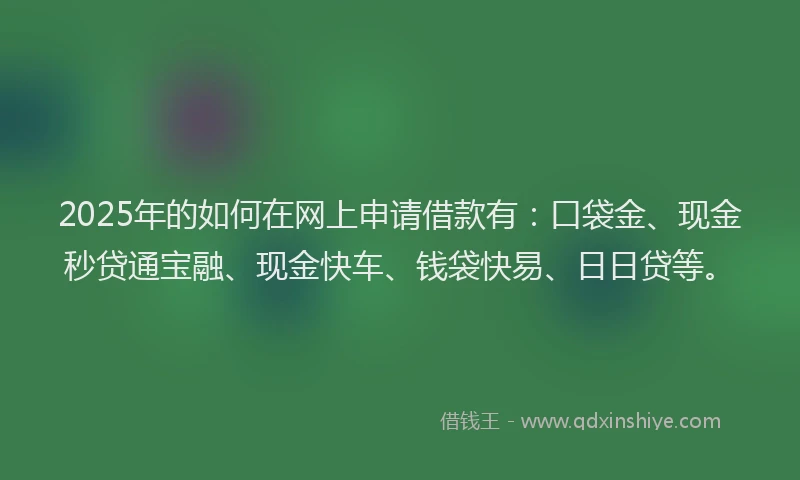 2025年的如何在网上申请借款有：口袋金、现金秒贷通宝融、现金快车、钱袋快易、日日贷等。