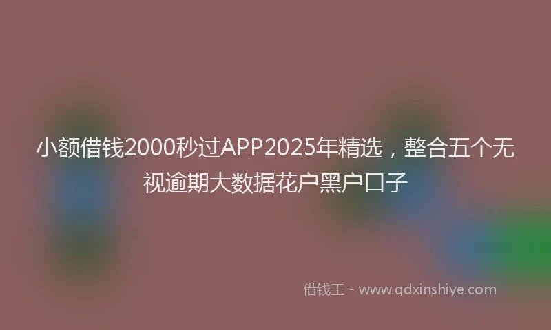 小额借钱2000秒过APP2025年精选，整合五个无视逾期大数据花户黑户口子