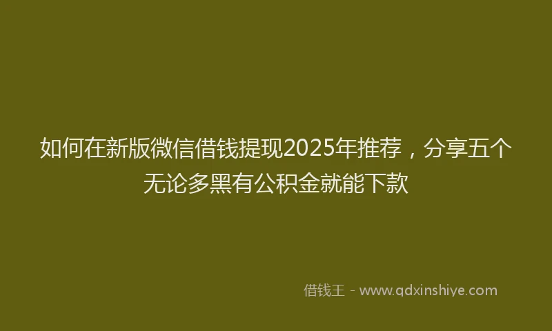 如何在新版微信借钱提现2025年推荐，分享五个无论多黑有公积金就能下款