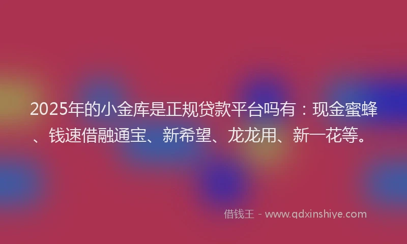 2025年的小金库是正规贷款平台吗有：现金蜜蜂、钱速借融通宝、新希望、龙龙用、新一花等。