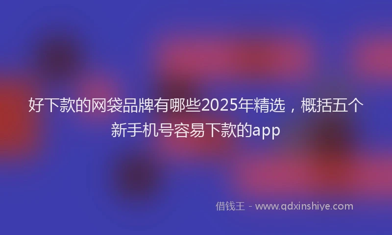 好下款的网袋品牌有哪些2025年精选，概括五个新手机号容易下款的app