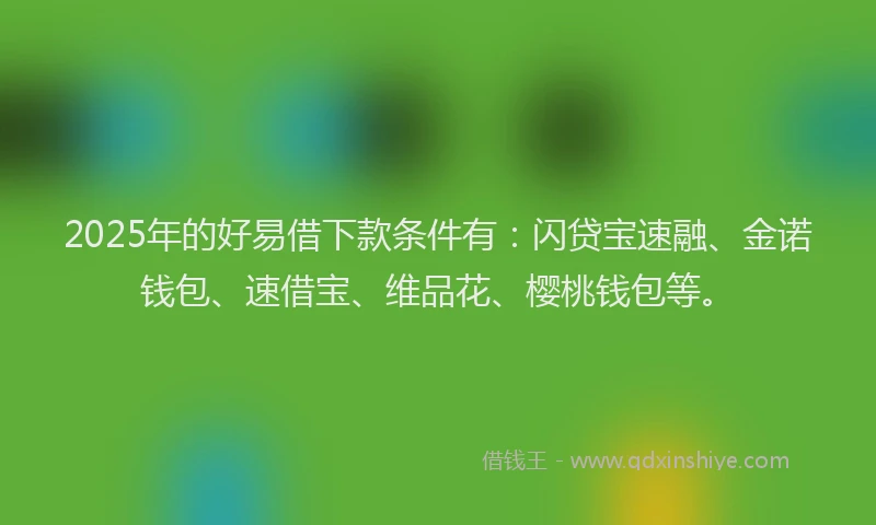 2025年的好易借下款条件有：闪贷宝速融、金诺钱包、速借宝、维品花、樱桃钱包等。