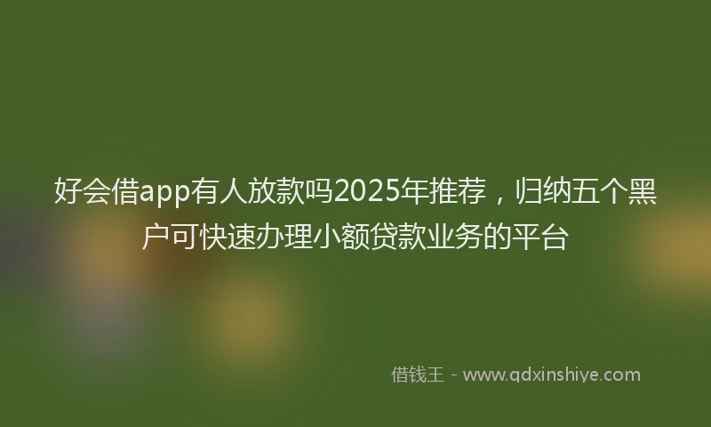 好会借app有人放款吗2025年推荐，归纳五个黑户可快速办理小额贷款业务的平台