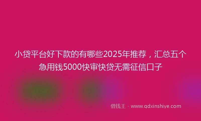 小贷平台好下款的有哪些2025年推荐，汇总五个急用钱5000快审快贷无需征信口子