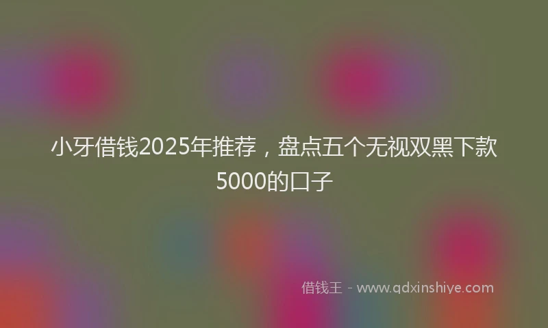 小牙借钱2025年推荐，盘点五个无视双黑下款5000的口子