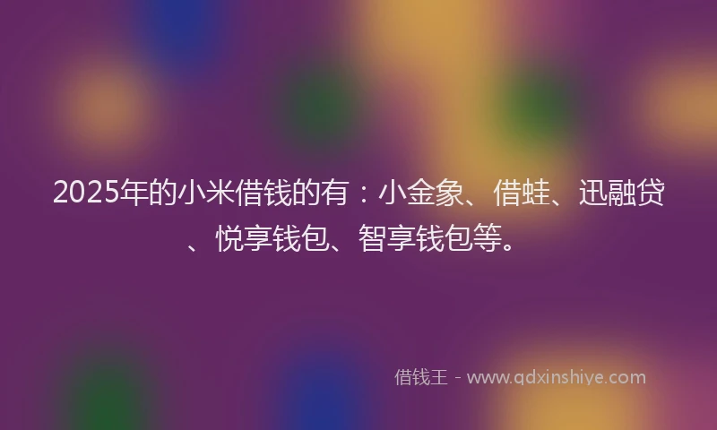 2025年的小米借钱的有：小金象、借蛙、迅融贷、悦享钱包、智享钱包等。
