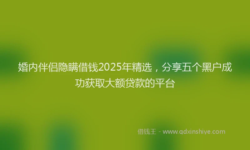 婚内伴侣隐瞒借钱2025年精选，分享五个黑户成功获取大额贷款的平台