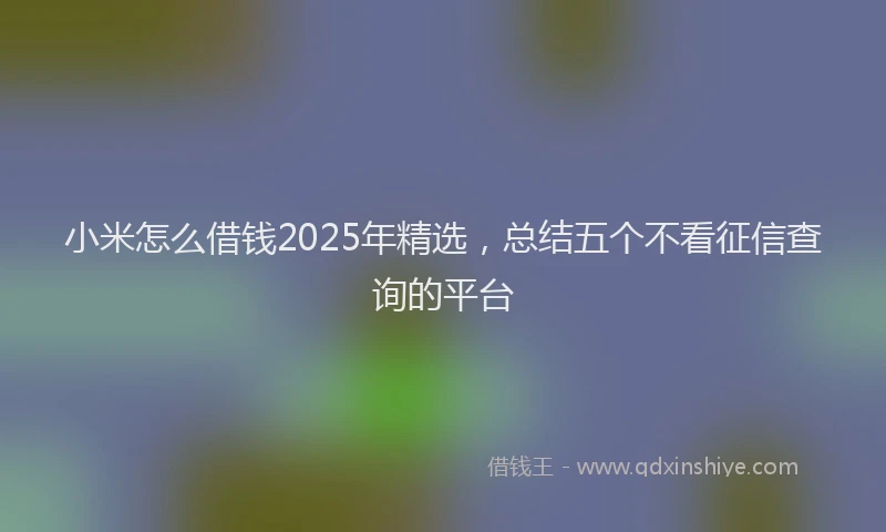 小米怎么借钱2025年精选，总结五个不看征信查询的平台