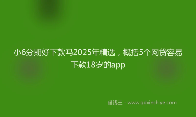 小6分期好下款吗2025年精选，概括5个网贷容易下款18岁的app