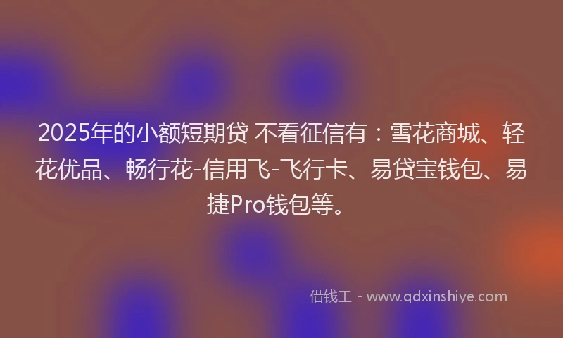 2025年的小额短期贷 不看征信有：雪花商城、轻花优品、畅行花-信用飞-飞行卡、易贷宝钱包、易捷Pro钱包等。