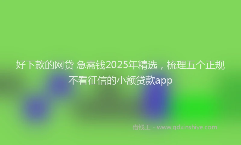 好下款的网贷 急需钱2025年精选，梳理五个正规不看征信的小额贷款app