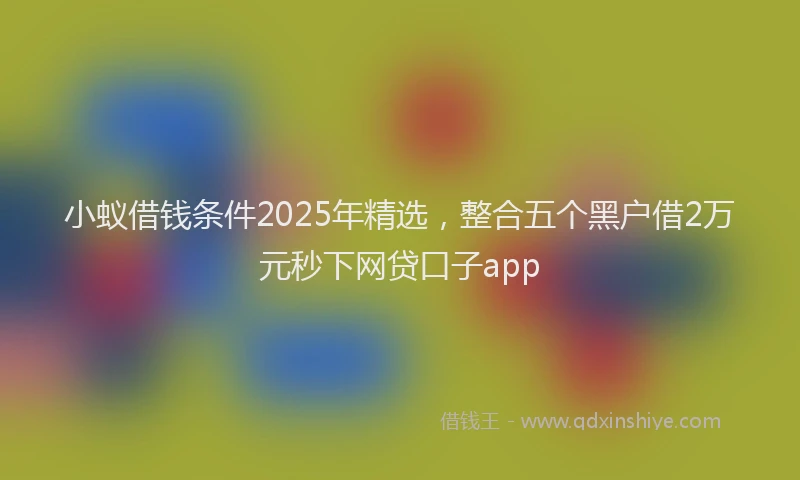 小蚁借钱条件2025年精选，整合五个黑户借2万元秒下网贷口子app