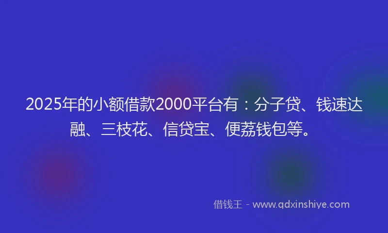 2025年的小额借款2000平台有：分子贷、钱速达融、三枝花、信贷宝、便荔钱包等。