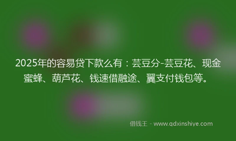 2025年的容易贷下款么有：芸豆分-芸豆花、现金蜜蜂、葫芦花、钱速借融途、翼支付钱包等。