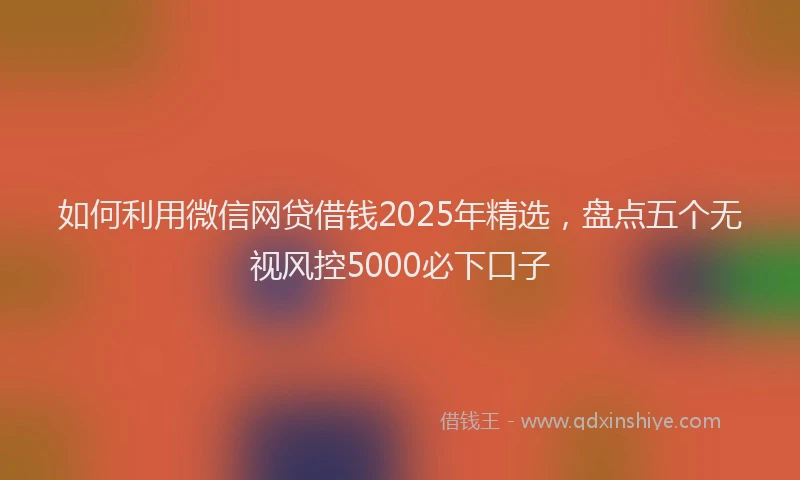 如何利用微信网贷借钱2025年精选，盘点五个无视风控5000必下口子