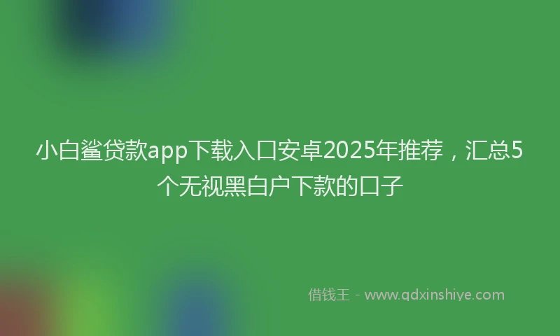 小白鲨贷款app下载入口安卓2025年推荐，汇总5个无视黑白户下款的口子