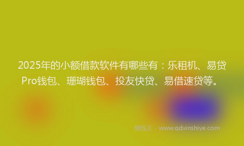2025年的小额借款软件有哪些有：乐租机、易贷Pro钱包、珊瑚钱包、投友快贷、易借速贷等。